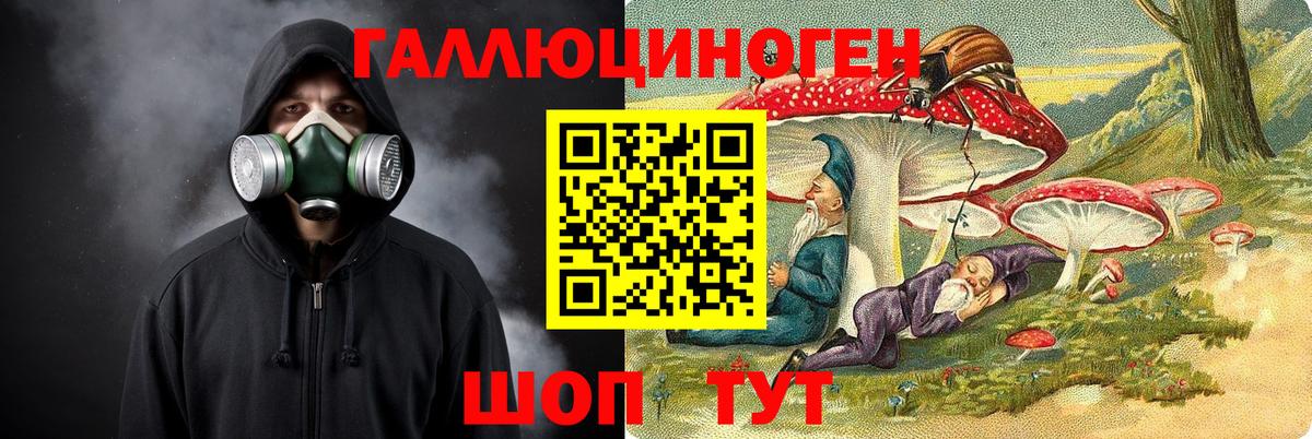 Конаково  Галлюциногенные грибы MAGIC MUSHROOMS  цена   Вход с VPN 